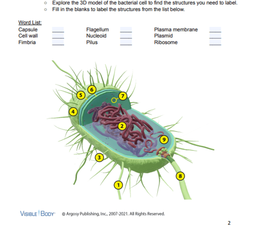 cell lab screenshot